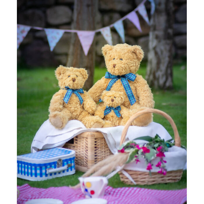 Bracken bear Thumbnail